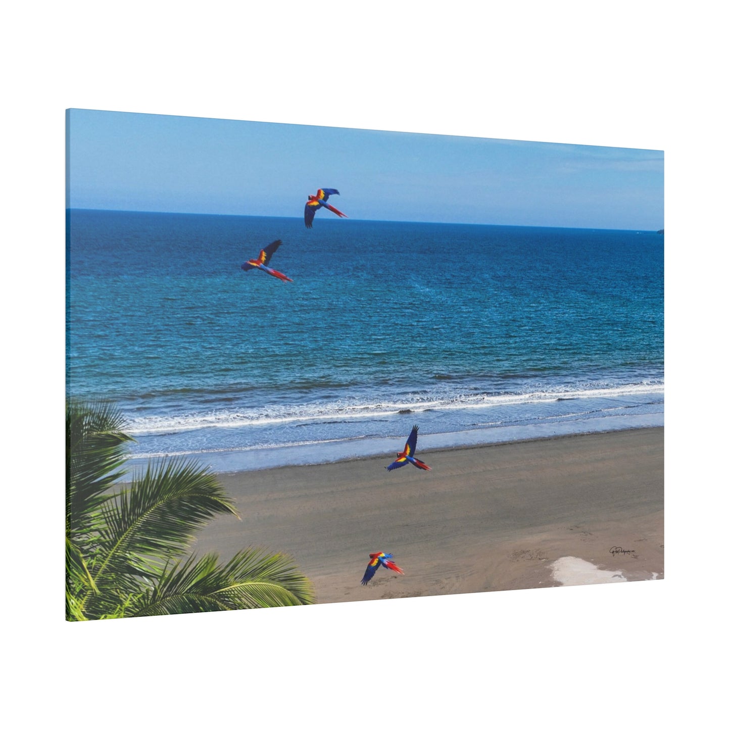 "Tropical Swoop: Lively Lapas & Majestic Macaws in Flight"- Canvas