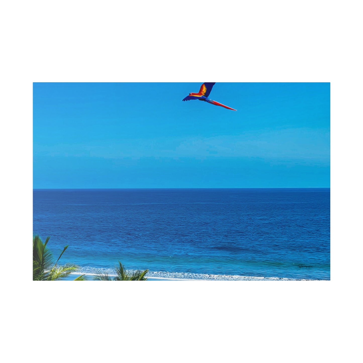 "Paradise Unveiled: Whispers of the Tropics and the Enchanting Dance of Lapas Macaws"- Canvas
