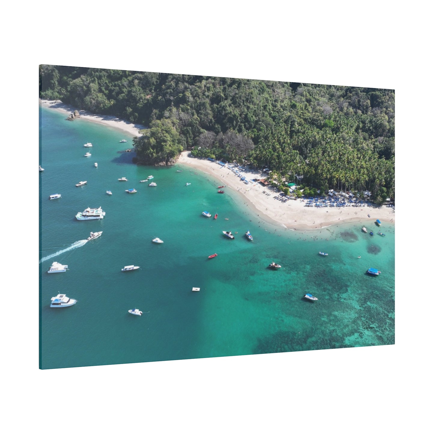 "Paradise Uncovered: The Tropical Wonders of Isla Tortuga, Costa Rica"- Canvas
