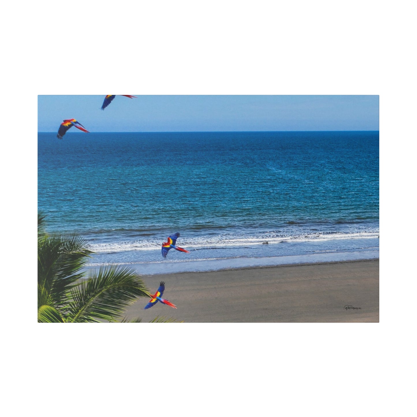 "Paradise Skies: The Tropical Tango of Guacamayas (Macaws)"- Canvas