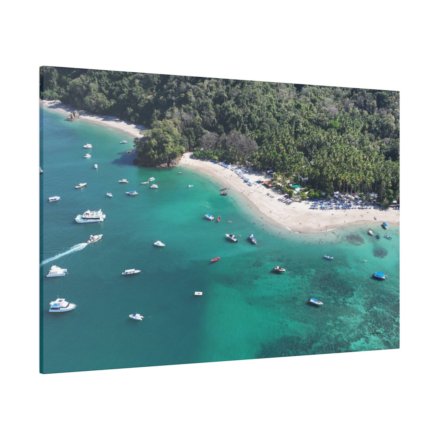 "Paradise Uncovered: The Tropical Wonders of Isla Tortuga, Costa Rica"- Canvas