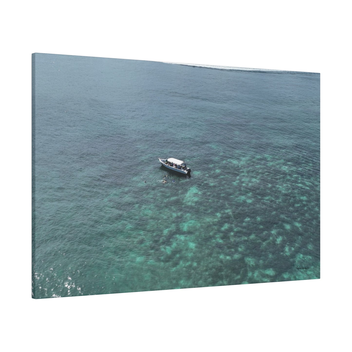 "Paradise Unveiled: Discover Tropical Serenity in Playa Quesera, Costa Rica"- Canvas