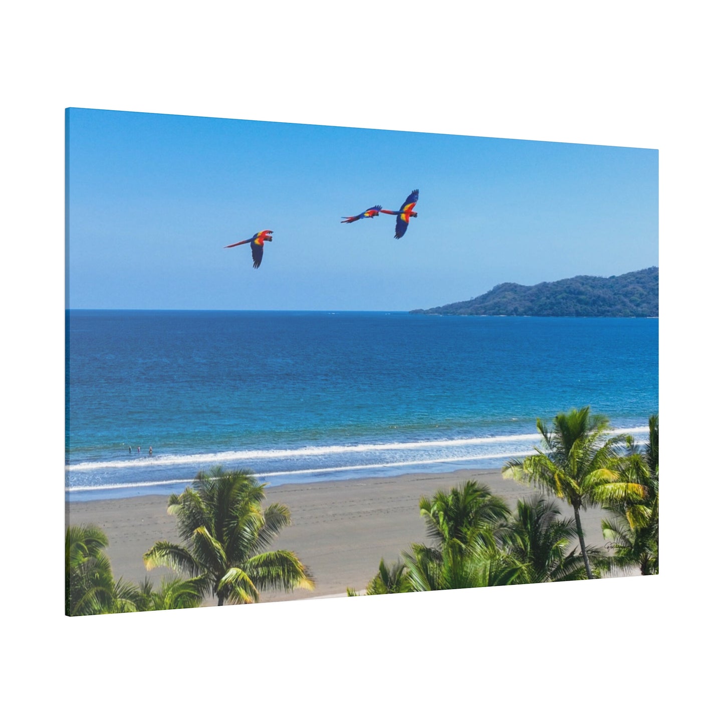 "Tropical Flights: A Symphony of Lapas and Macaws Among Palms"- Canvas