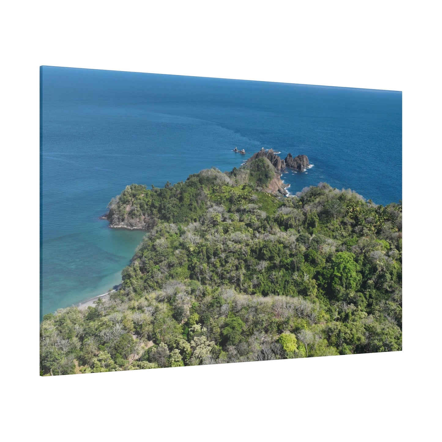 "Paradise Unveiled: The Tropical Tranquility of Isla Tortuga, Costa Rica"- Canvas
