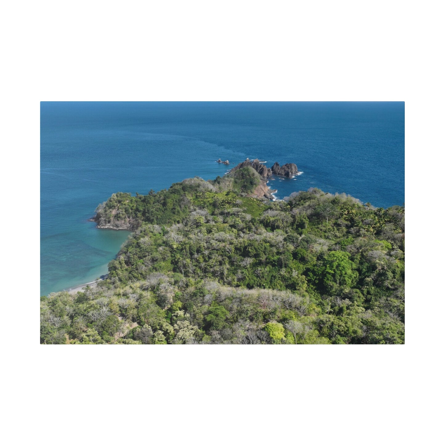 "Paradise Unveiled: The Tropical Tranquility of Isla Tortuga, Costa Rica"- Canvas