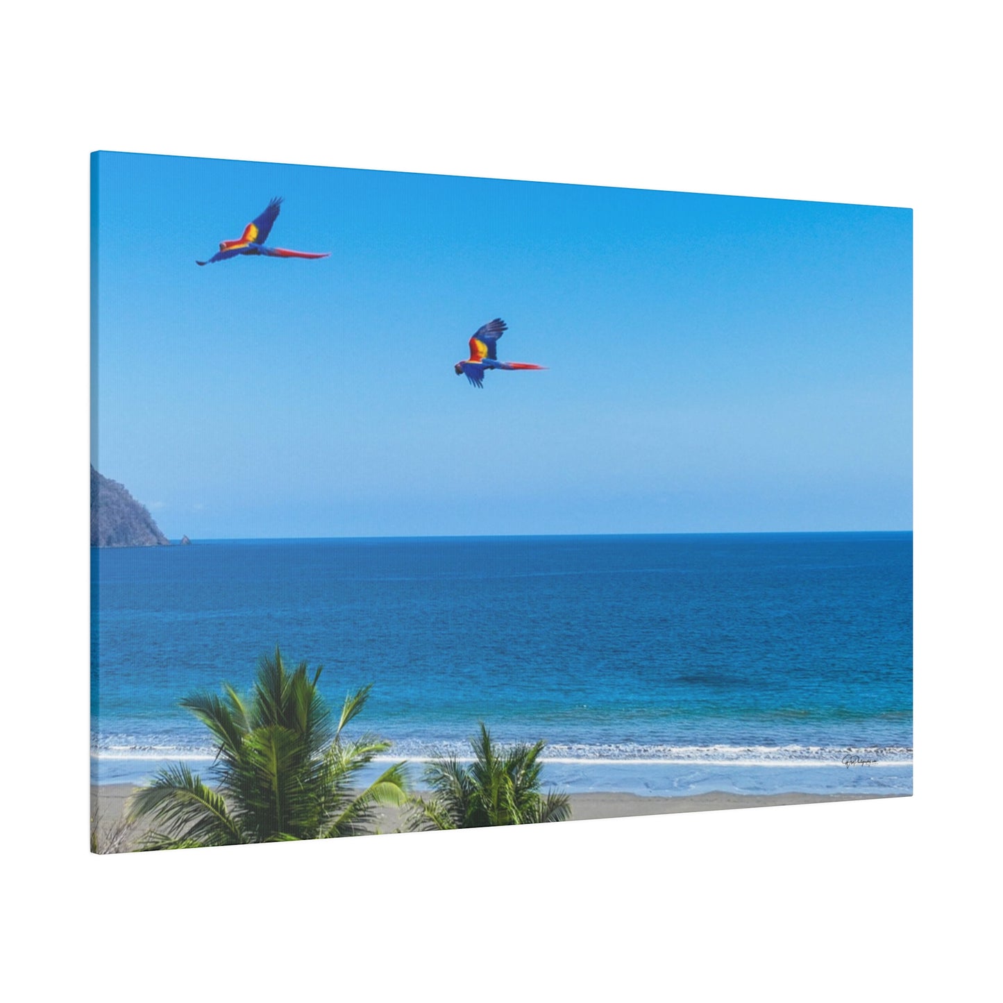 "Tropical Echo: Macaws in Flight - A Lush Symphony of Lapas"- Canvas