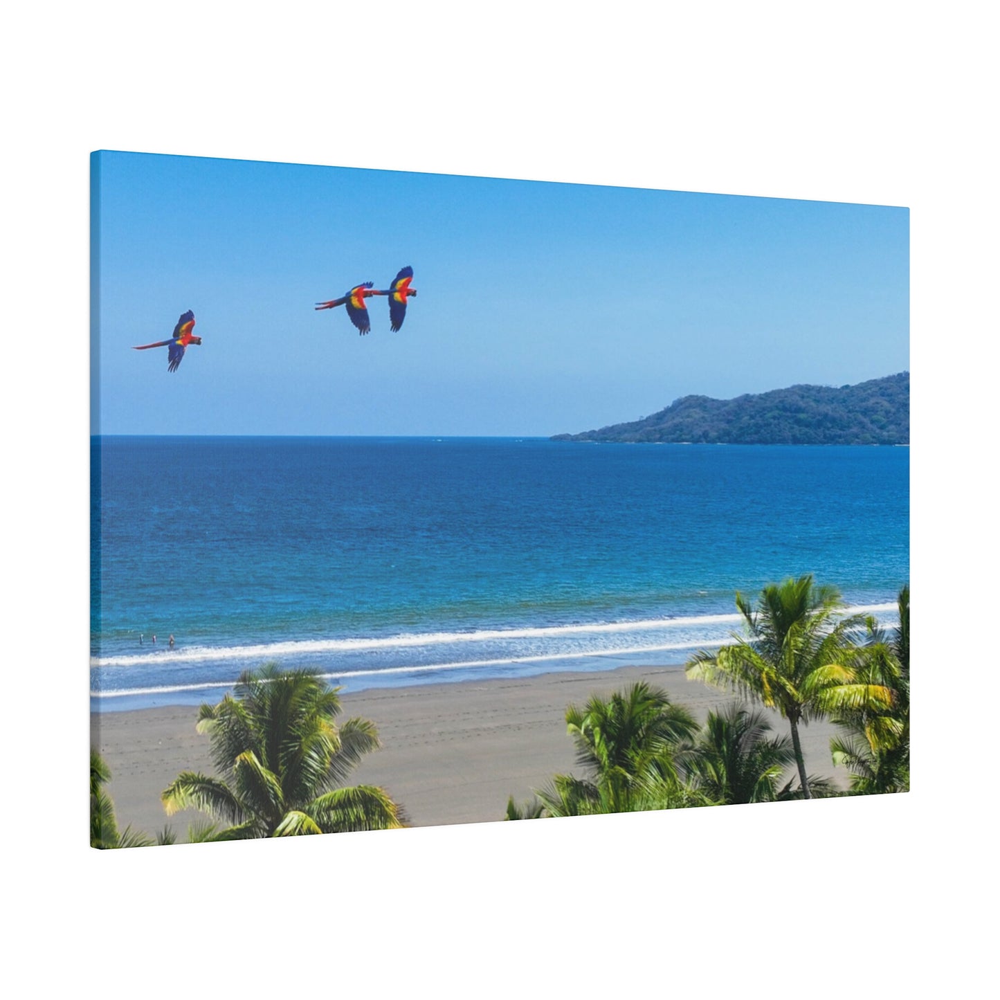 "Whispers of Wings: Lapas Soaring in the Tropical Sunrise - The Vibrant Dance of Macaws"- Canvas
