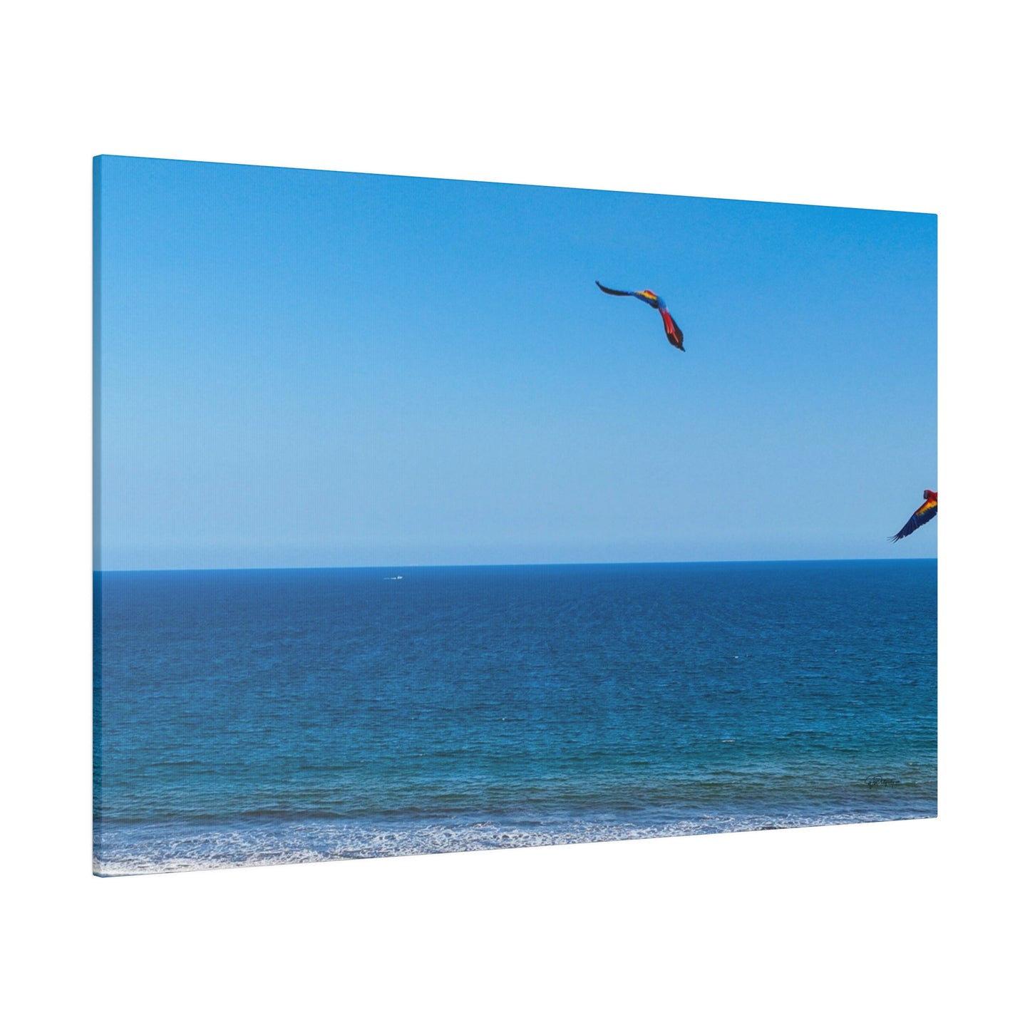 "Tropical Euphoria: The Sky Dance of Lapas, Macaws & Guacamayas"- Canvas