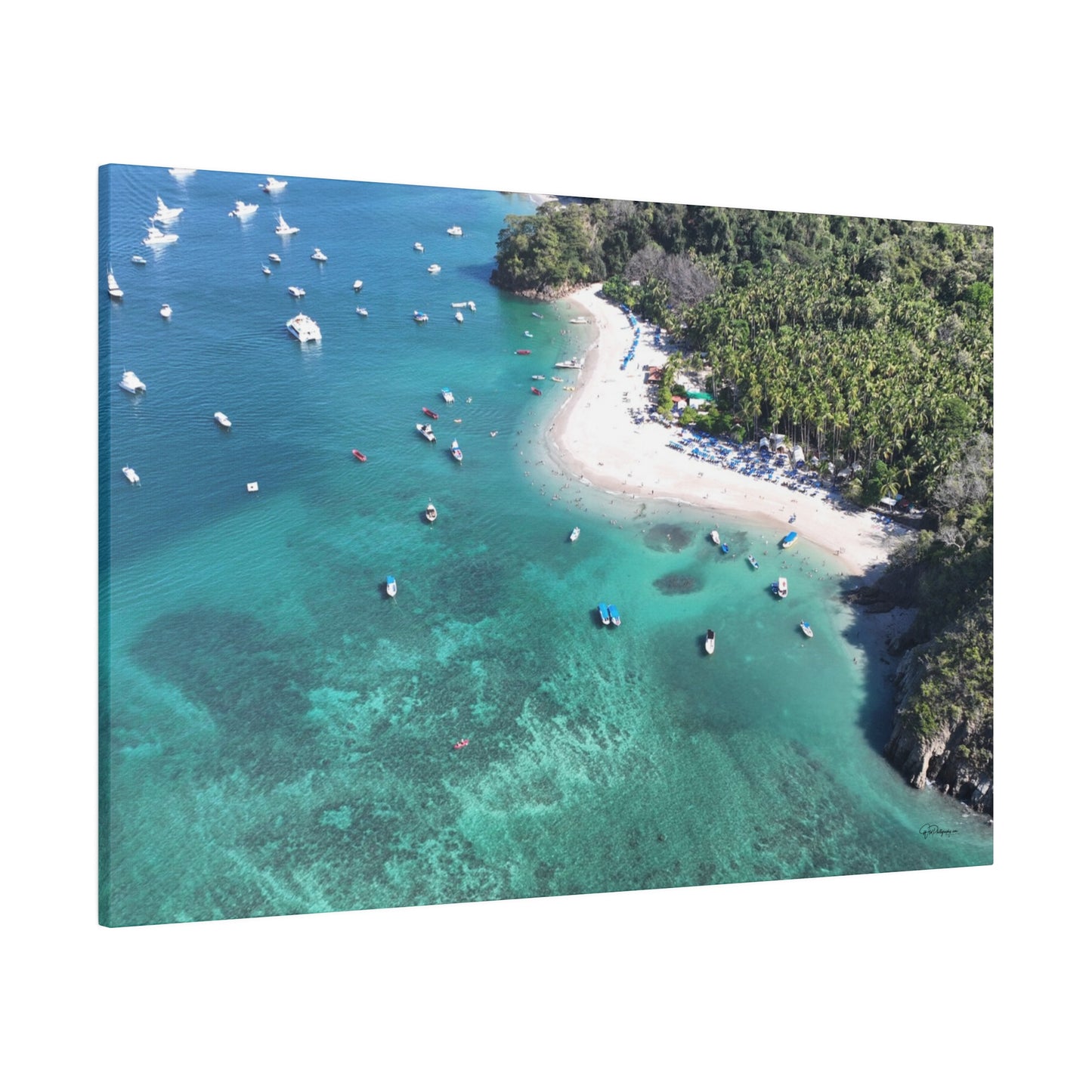 "Paradise Uncovered: The Lush Mysteries of Isla Tortuga, Costa Rica"- Canvas