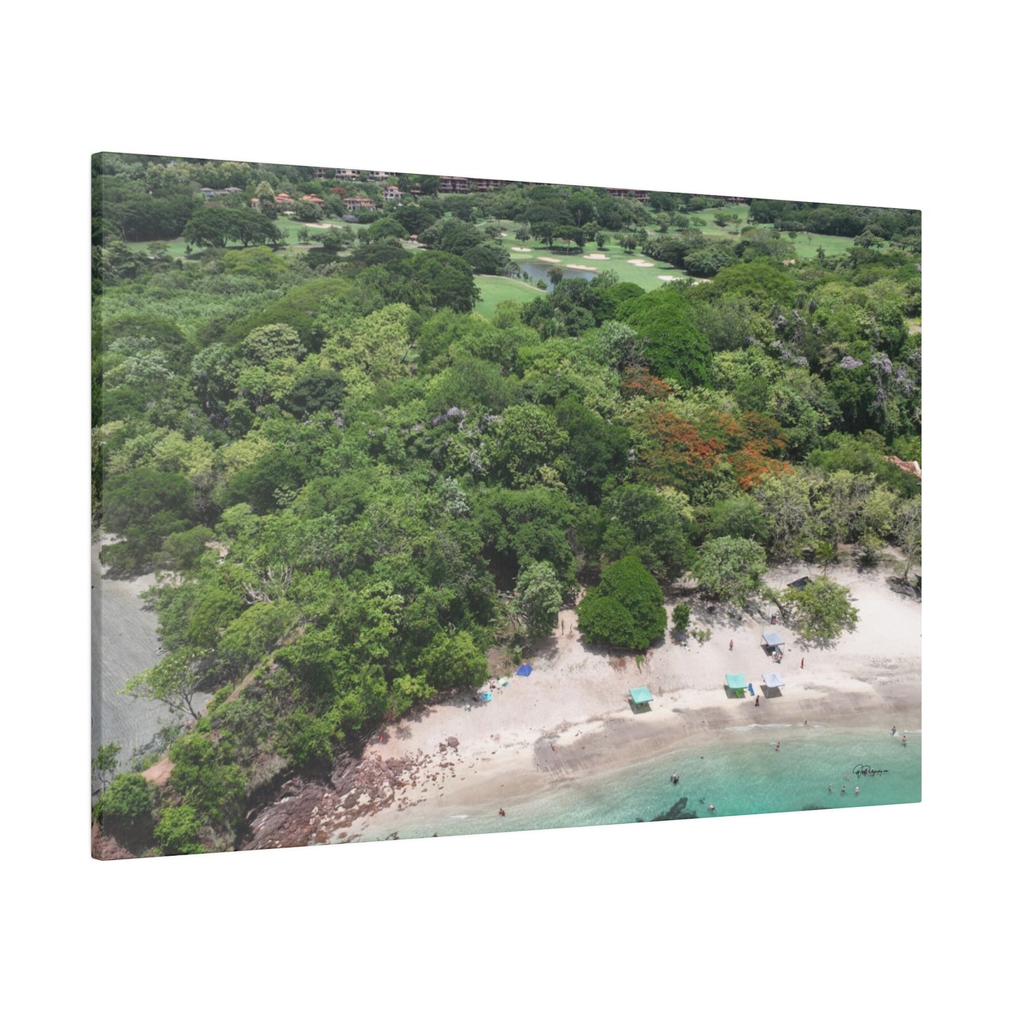 "Tropical Serenity: Costa Rica's Vibrant Eden Unveiled"- Canvas