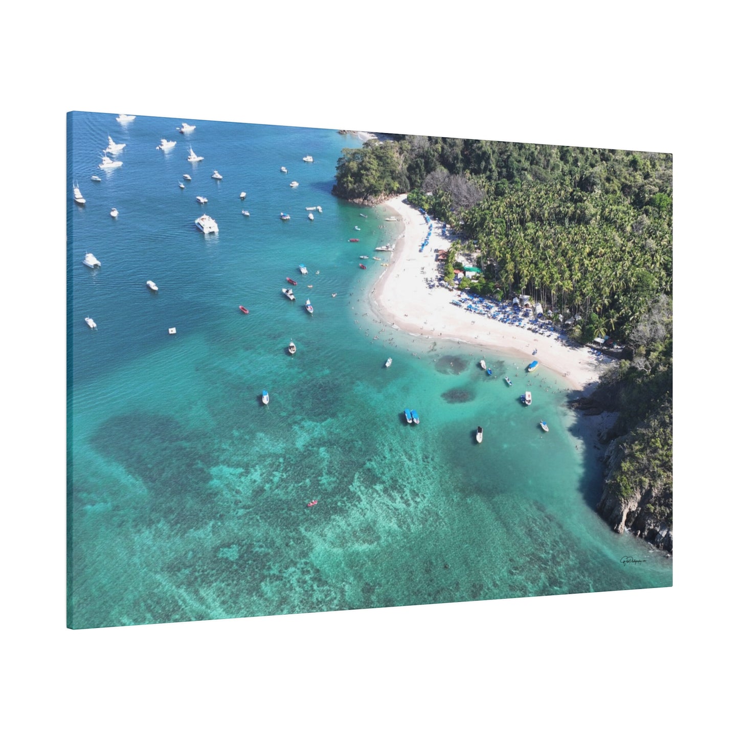 "Paradise Uncovered: The Lush Mysteries of Isla Tortuga, Costa Rica"- Canvas