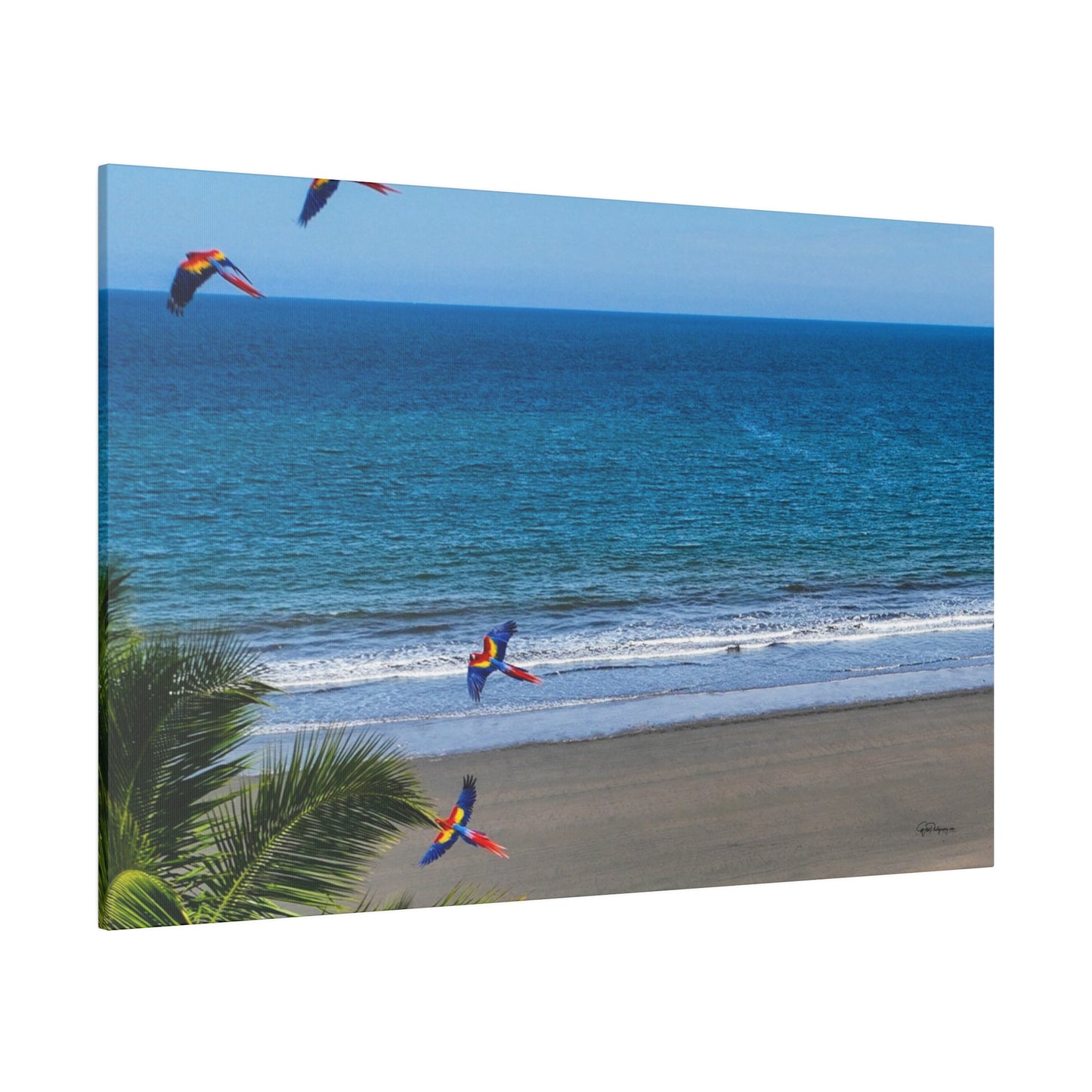 "Paradise Skies: The Tropical Tango of Guacamayas (Macaws)"- Canvas