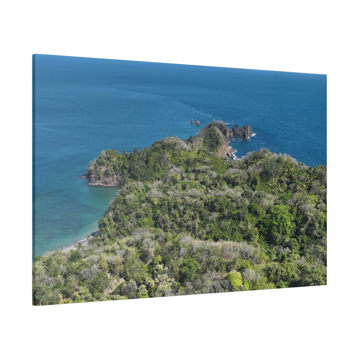 "Paradise Unveiled: The Tropical Tranquility of Isla Tortuga, Costa Rica"- Canvas