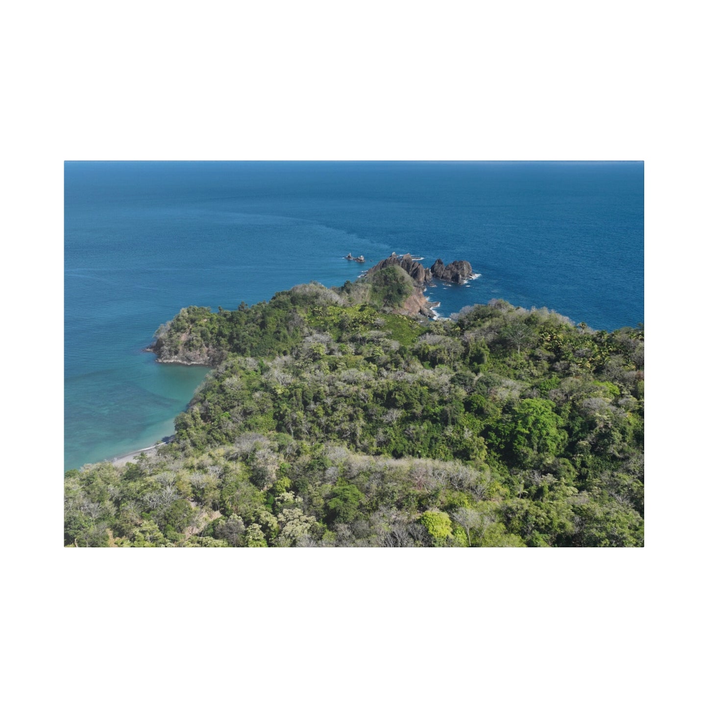 "Paradise Unveiled: The Tropical Tranquility of Isla Tortuga, Costa Rica"- Canvas