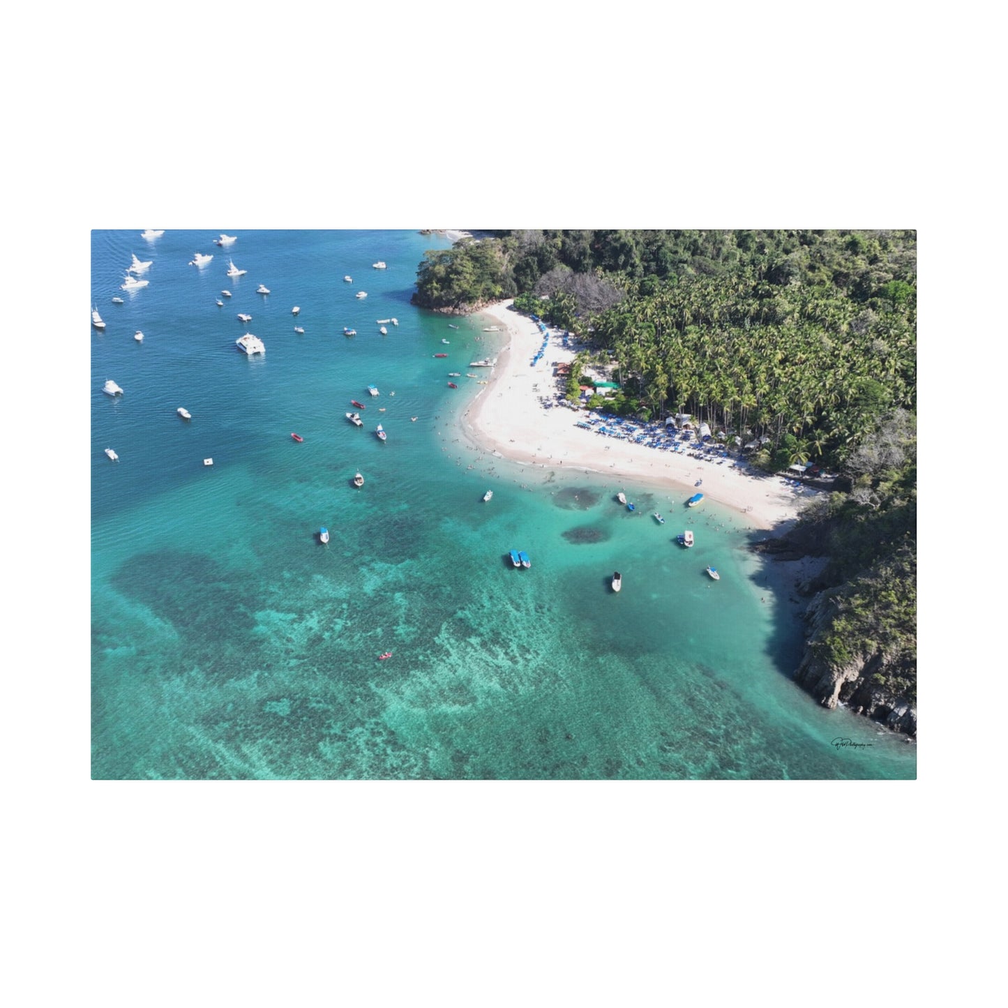 "Paradise Uncovered: The Lush Mysteries of Isla Tortuga, Costa Rica"- Canvas