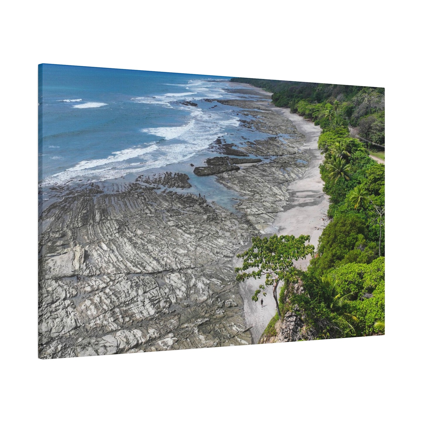 "Essence of Emerald: Capturing Costa Rica's Vibrant Tropical Majesty"- Canvas