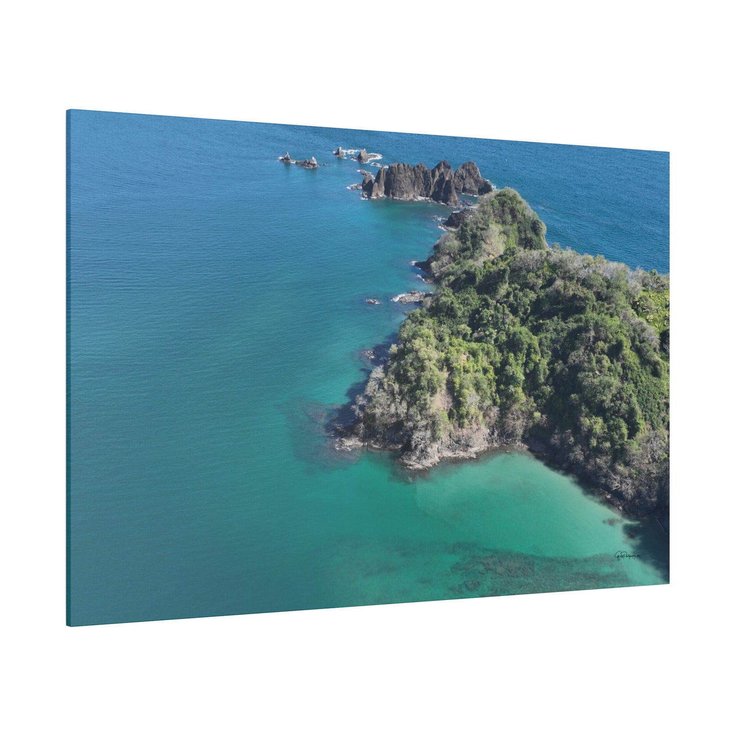 "Paradise Found: Vibrant Vistas of Isla Tortuga, Costa Rica"- Canvas
