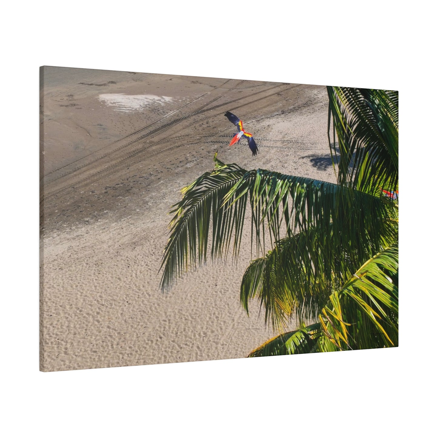 "Macaws Aloft: A Tropical Symphony of Lapas in Flight"- Canvas