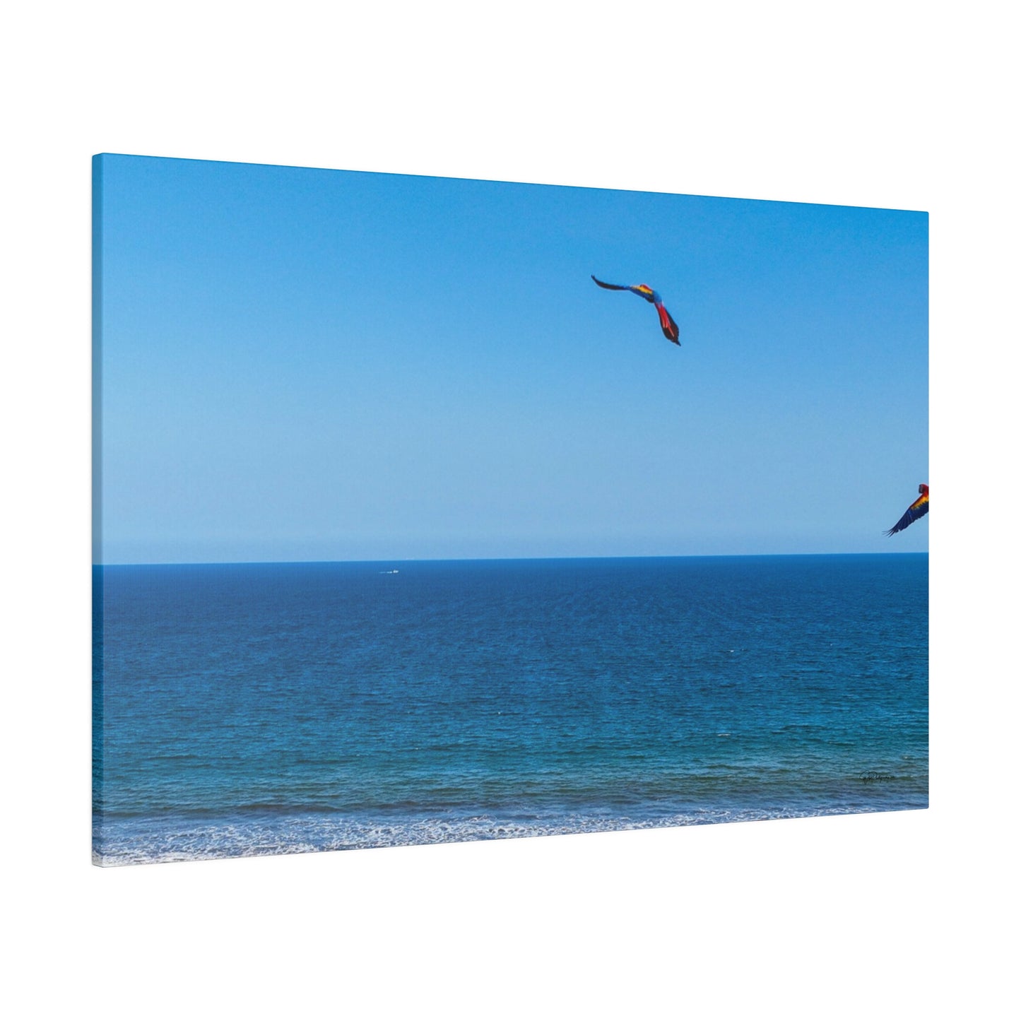 "Tropical Euphoria: The Sky Dance of Lapas, Macaws & Guacamayas"- Canvas