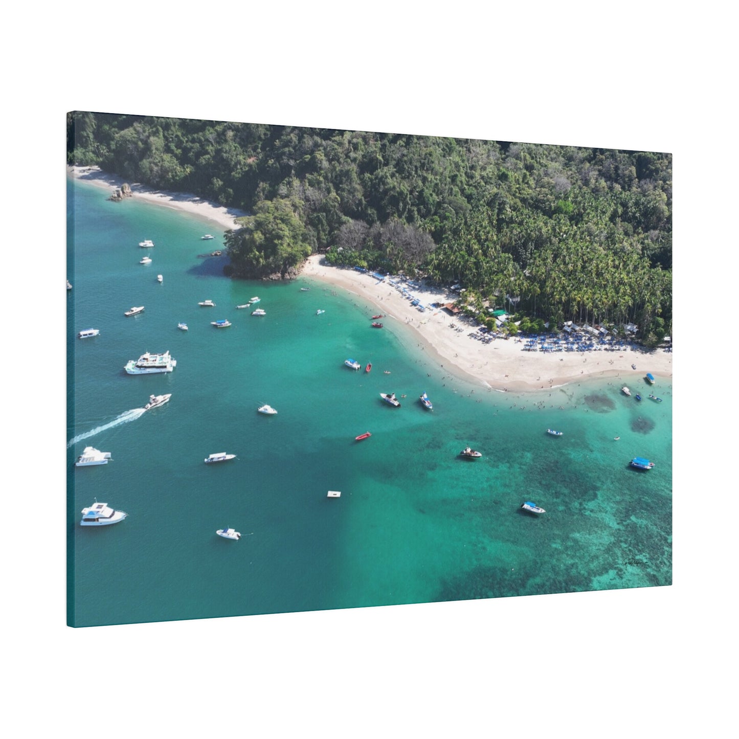 "Paradise Uncovered: The Tropical Wonders of Isla Tortuga, Costa Rica"- Canvas