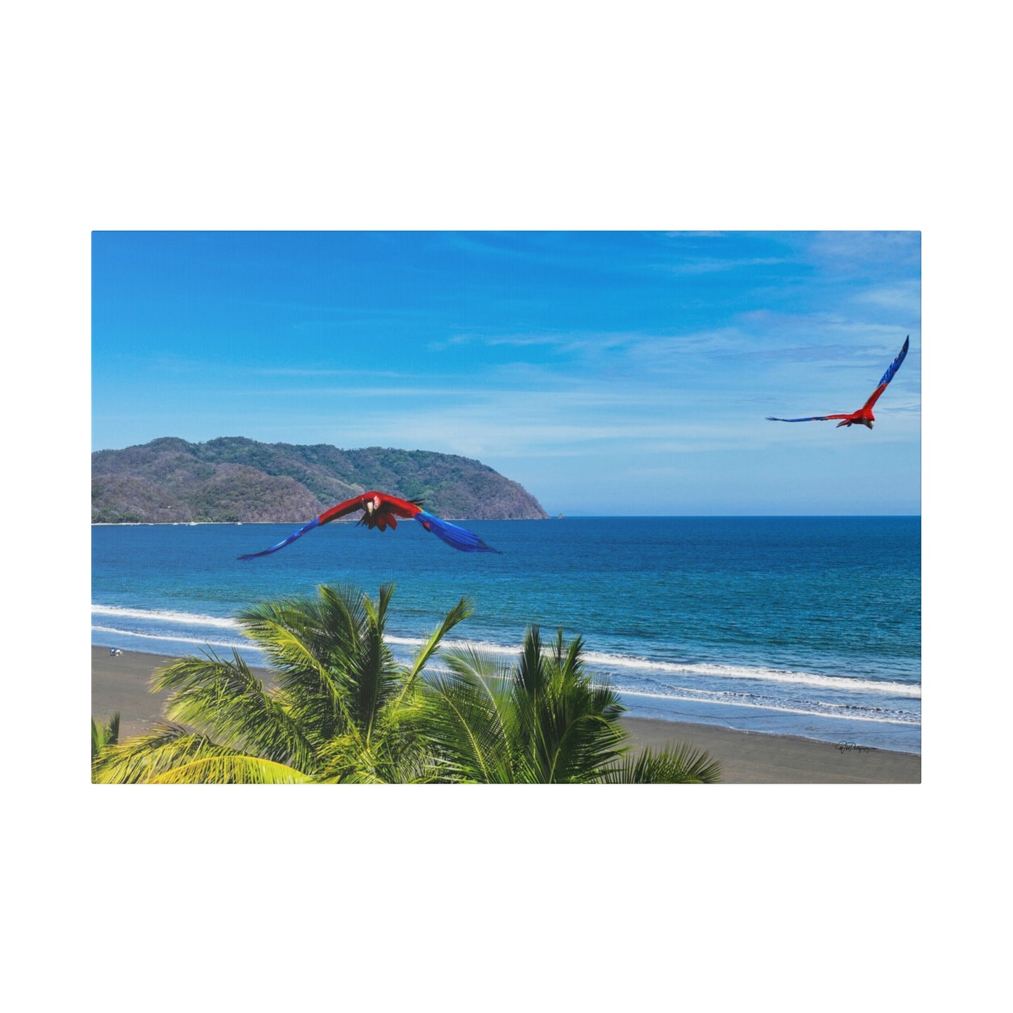 "Exotic Odyssey: The Whirling Lapas - Macaws of the Tropical Eden"- Canvas