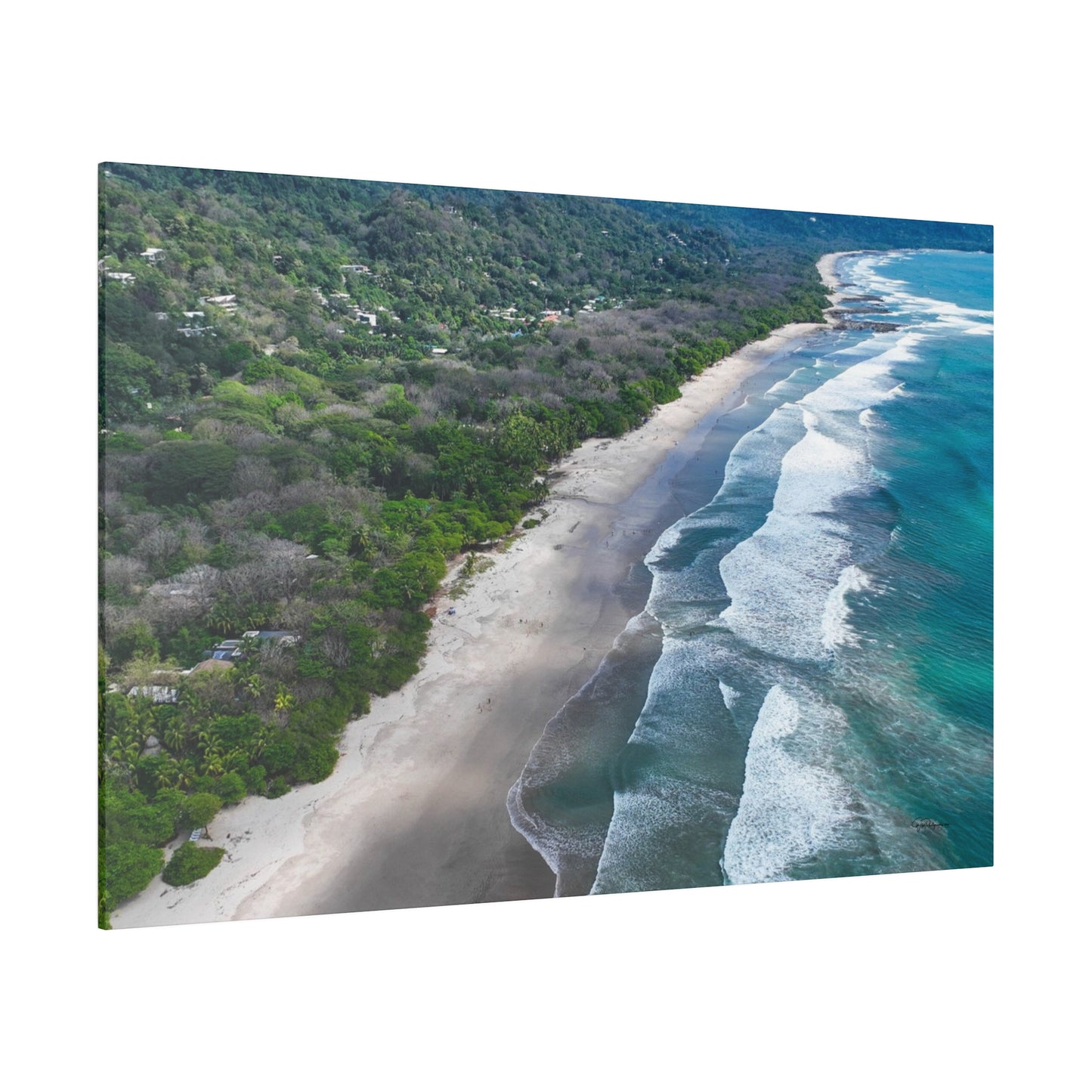 "Eden's Echo: A Tropical Serenade from Costa Rica"- Canvas