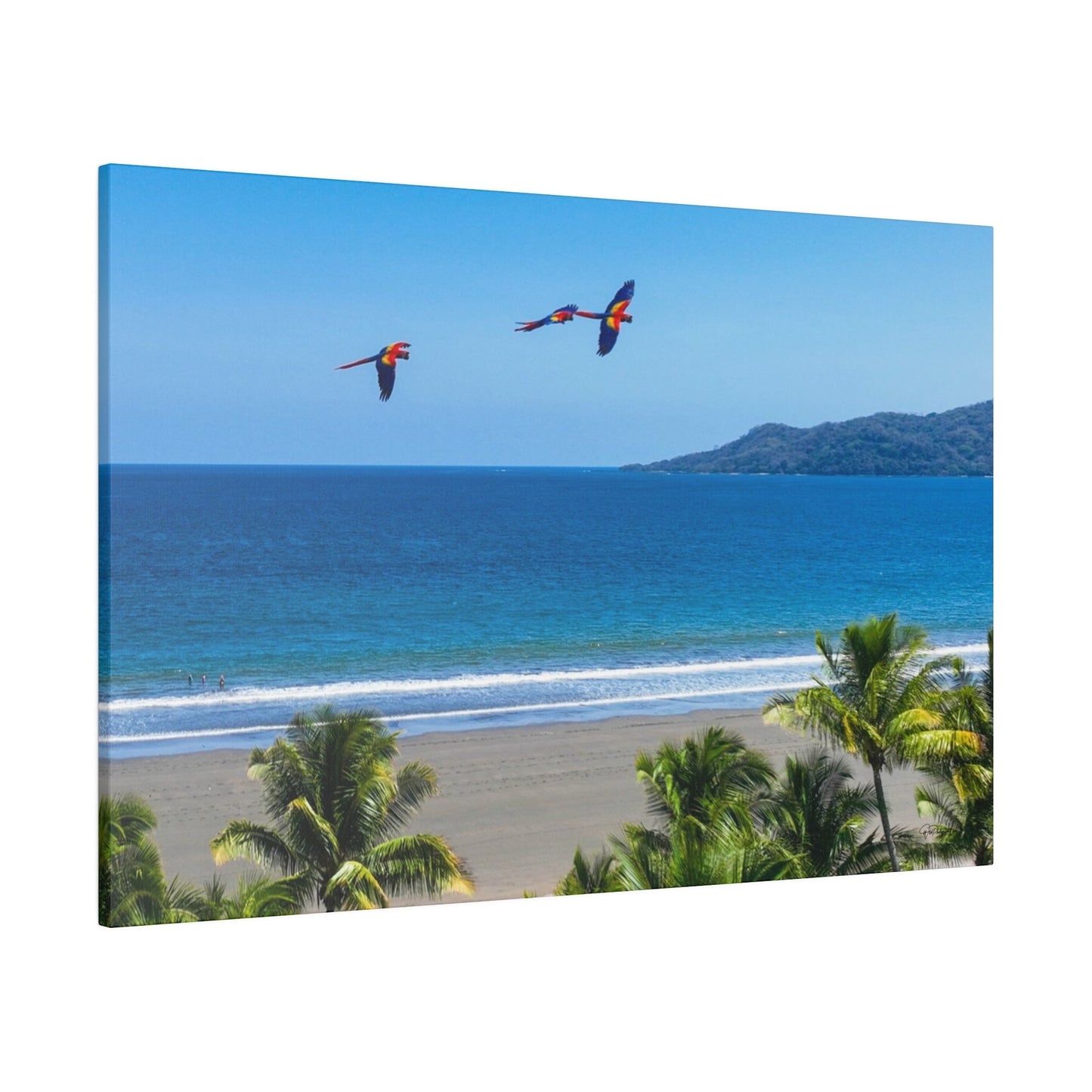 "Tropical Flights: A Symphony of Lapas and Macaws Among Palms"- Canvas