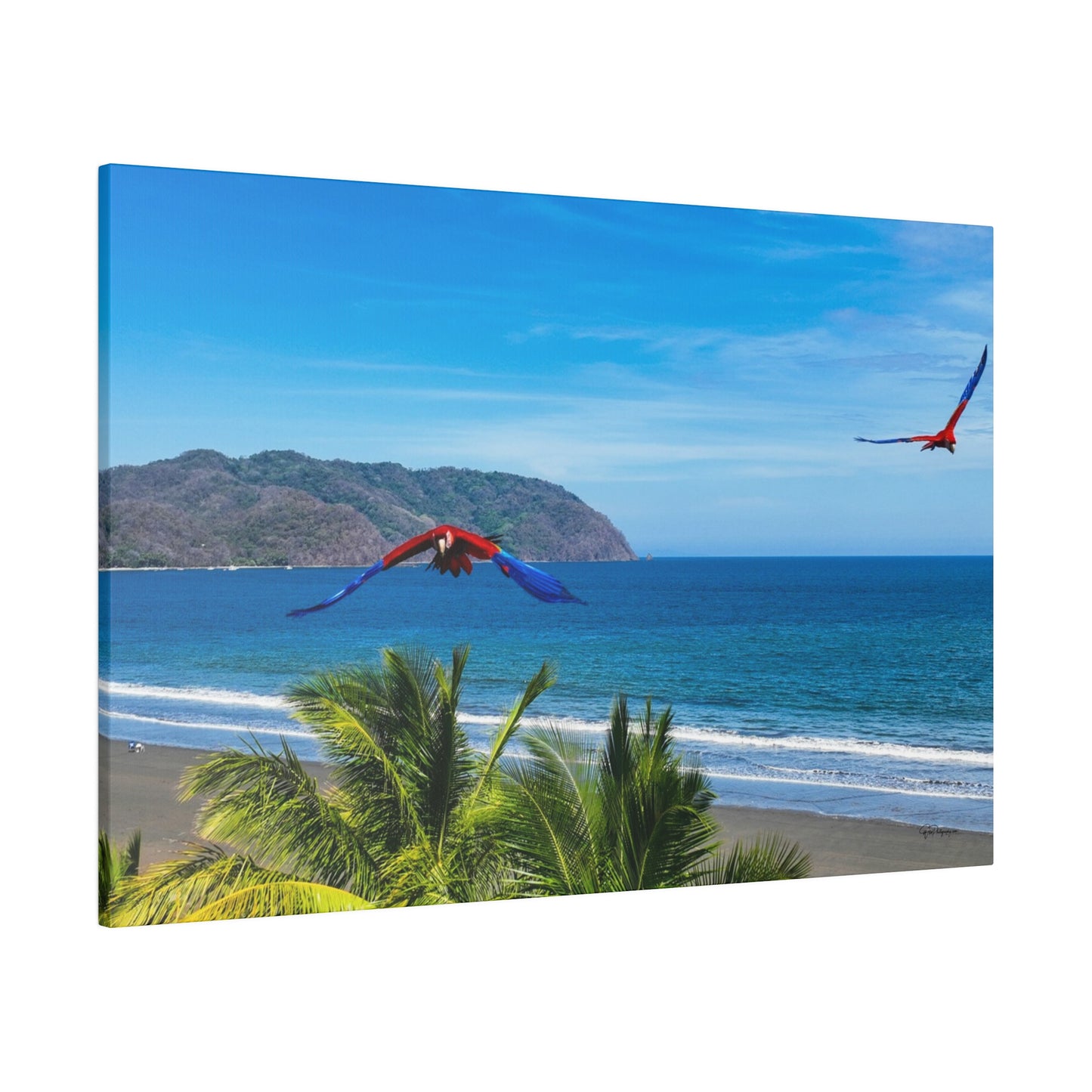 "Exotic Odyssey: The Whirling Lapas - Macaws of the Tropical Eden"- Canvas