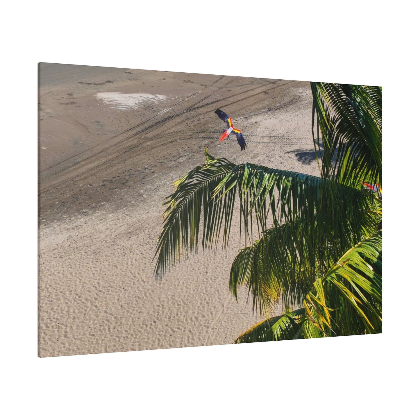 "Macaws Aloft: A Tropical Symphony of Lapas in Flight"- Canvas