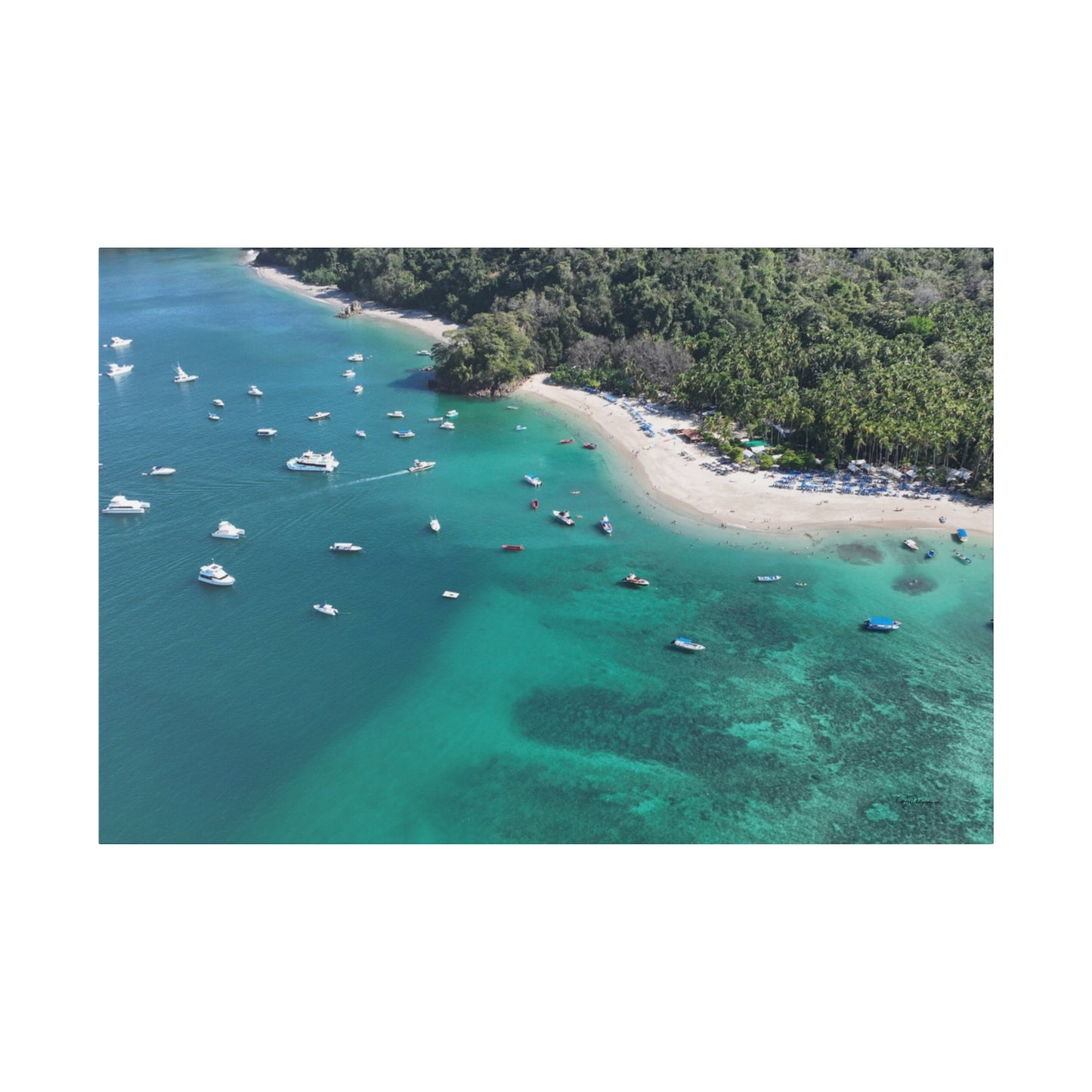 "Paradise Unveiled: The Lush Serenity of Isla Tortuga, Costa Rica"- Canvas