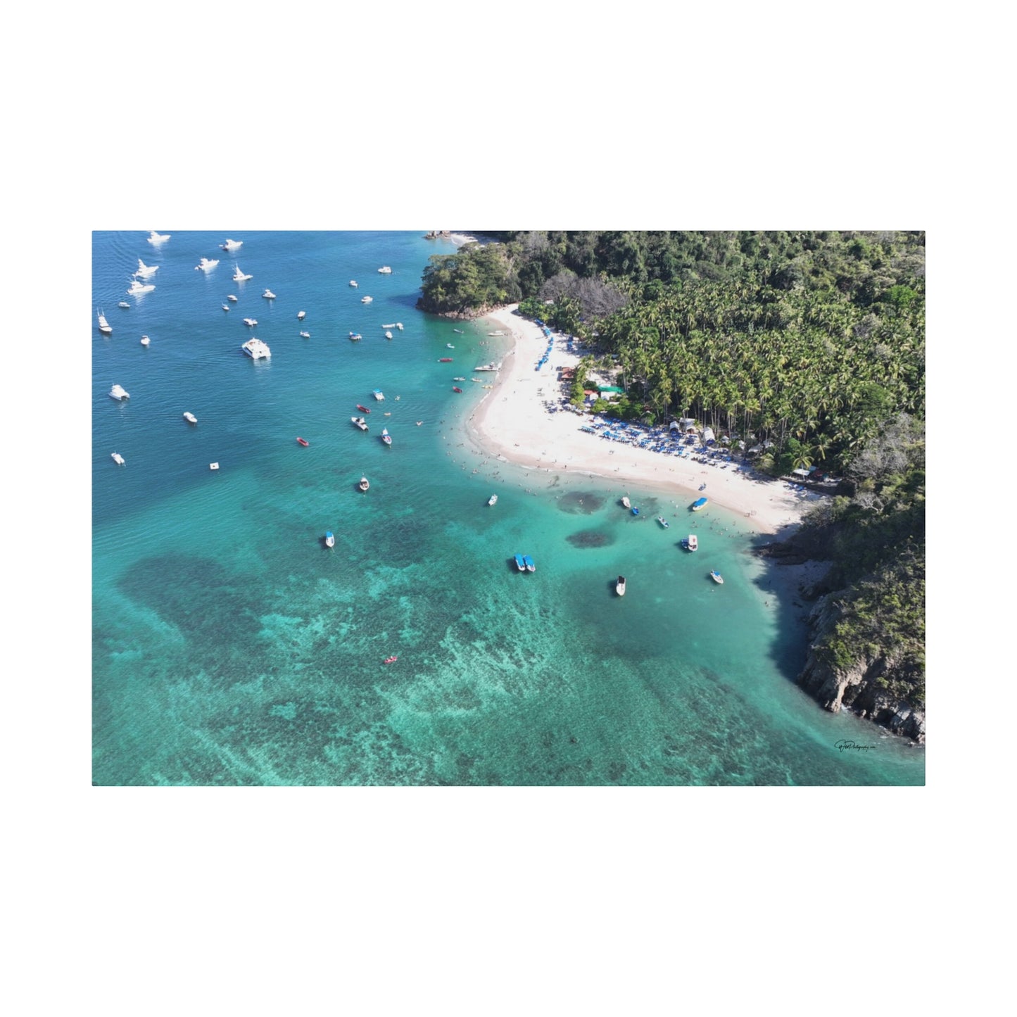 "Paradise Uncovered: The Lush Mysteries of Isla Tortuga, Costa Rica"- Canvas
