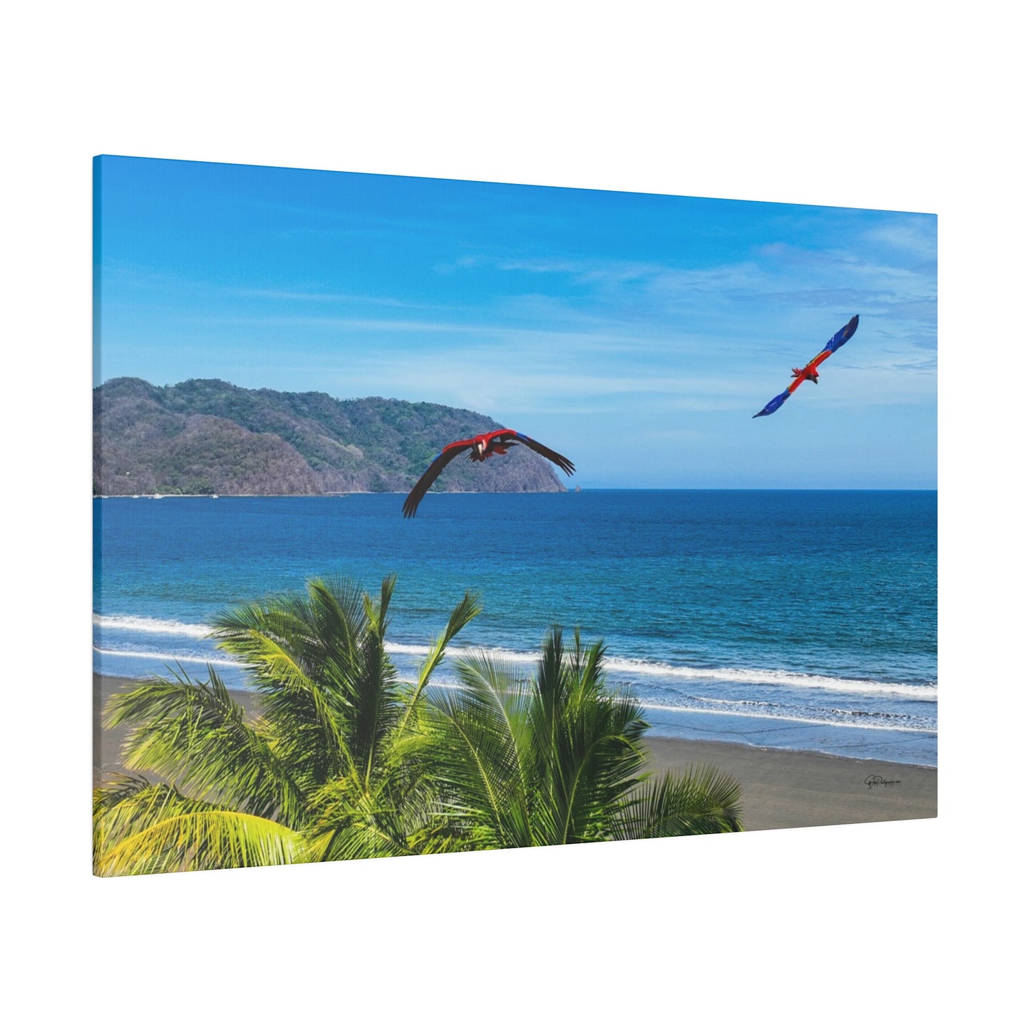 "Tropical Brilliance: Volando con las Guacamayas - Journey with the Flying Macaws"- Canvas