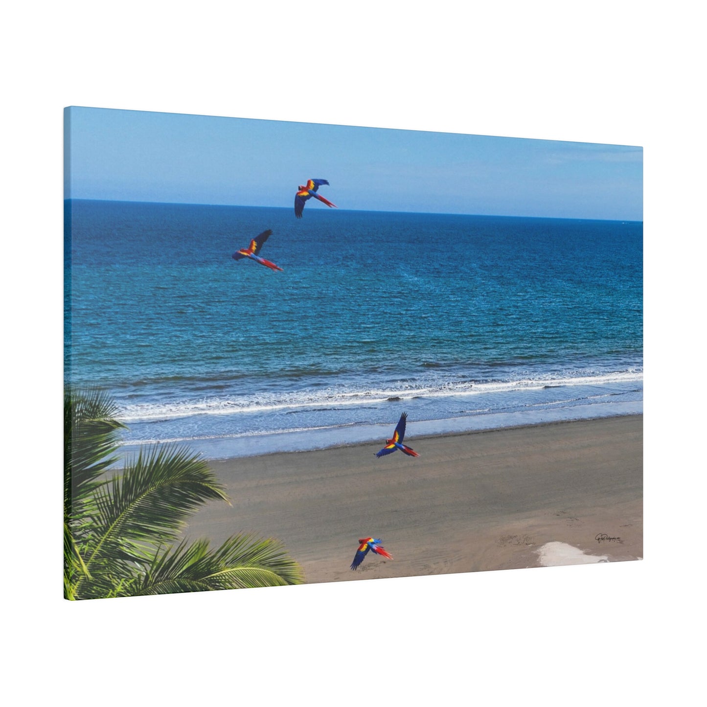 "Tropical Swoop: Lively Lapas & Majestic Macaws in Flight"- Canvas