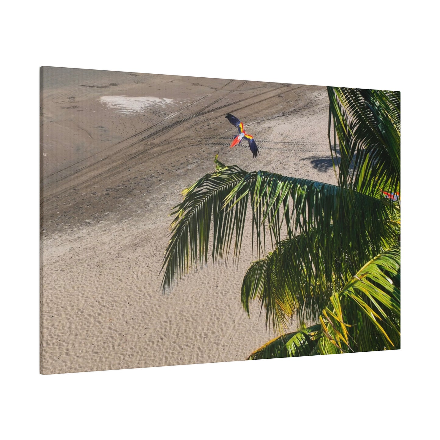 "Macaws Aloft: A Tropical Symphony of Lapas in Flight"- Canvas
