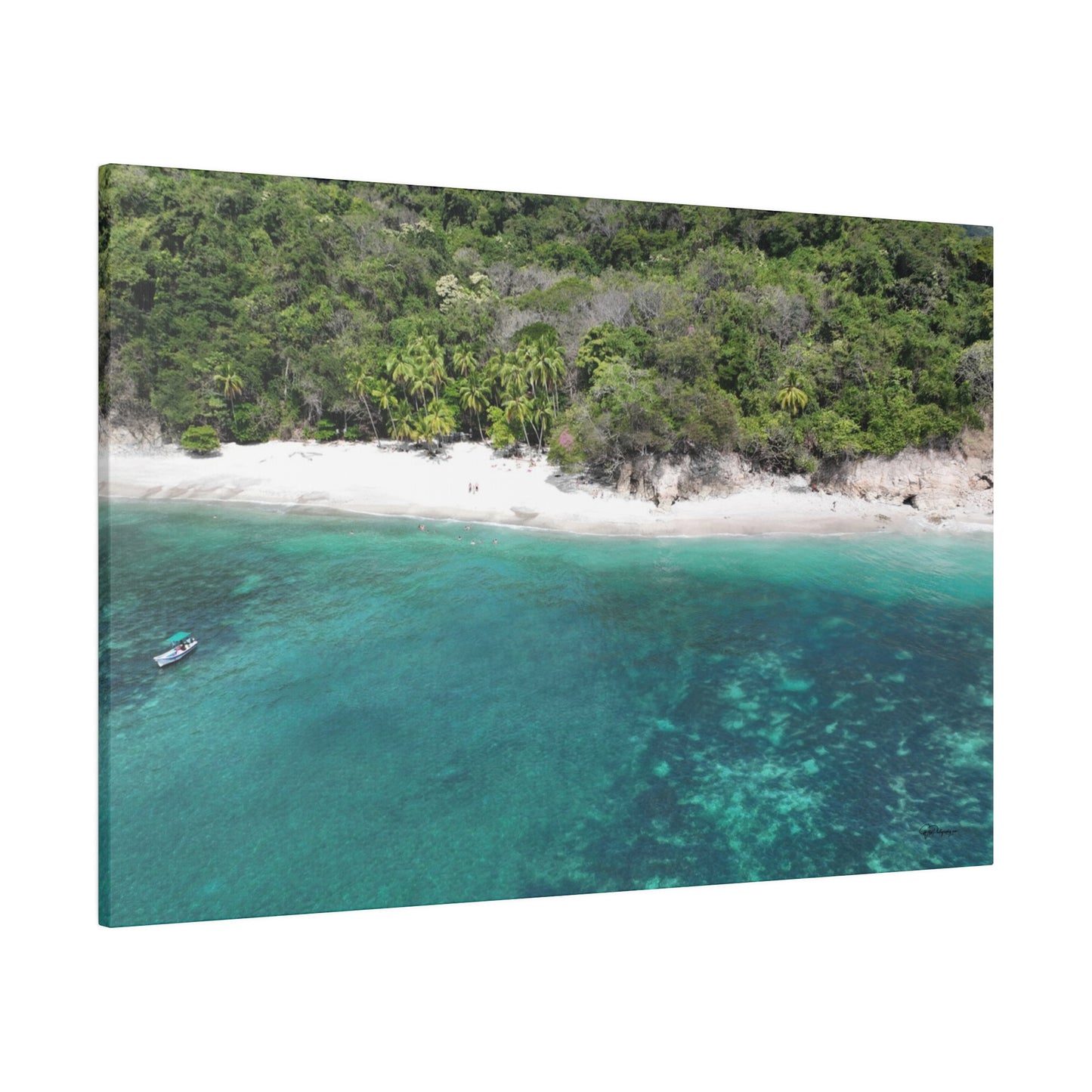 "Tropical Treasures of Playa Quesera, Costa Rica: Paradise Unleashed"- Canvas