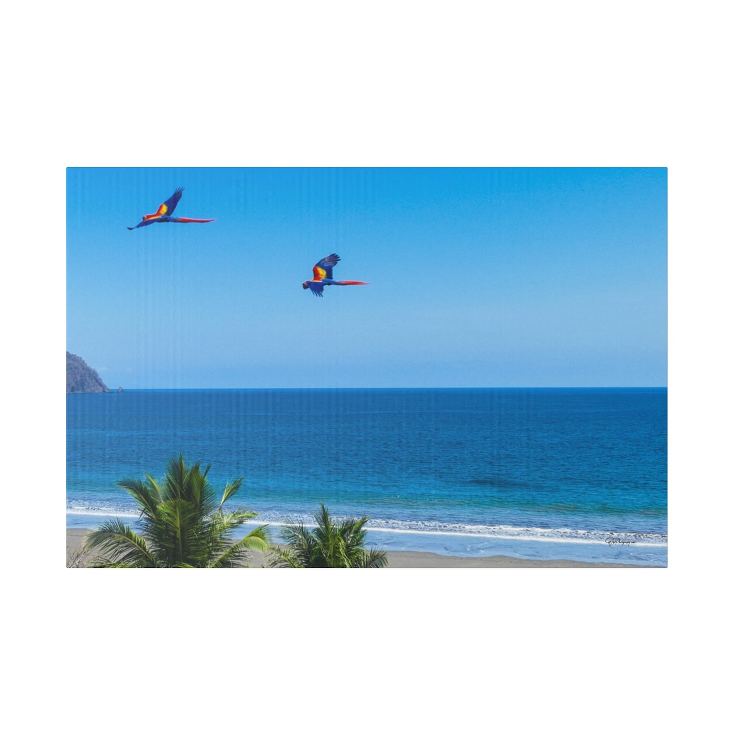 "Tropical Echo: Macaws in Flight - A Lush Symphony of Lapas"- Canvas