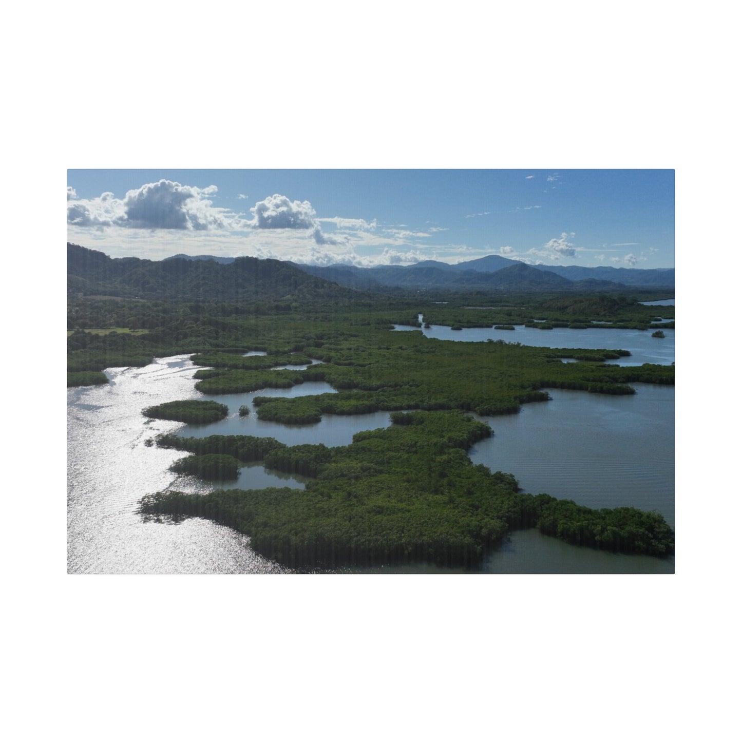 "Paradise Unveiled: Las Mangrove & Golfo de Nicoya's Tropical Treasures"- Canvas