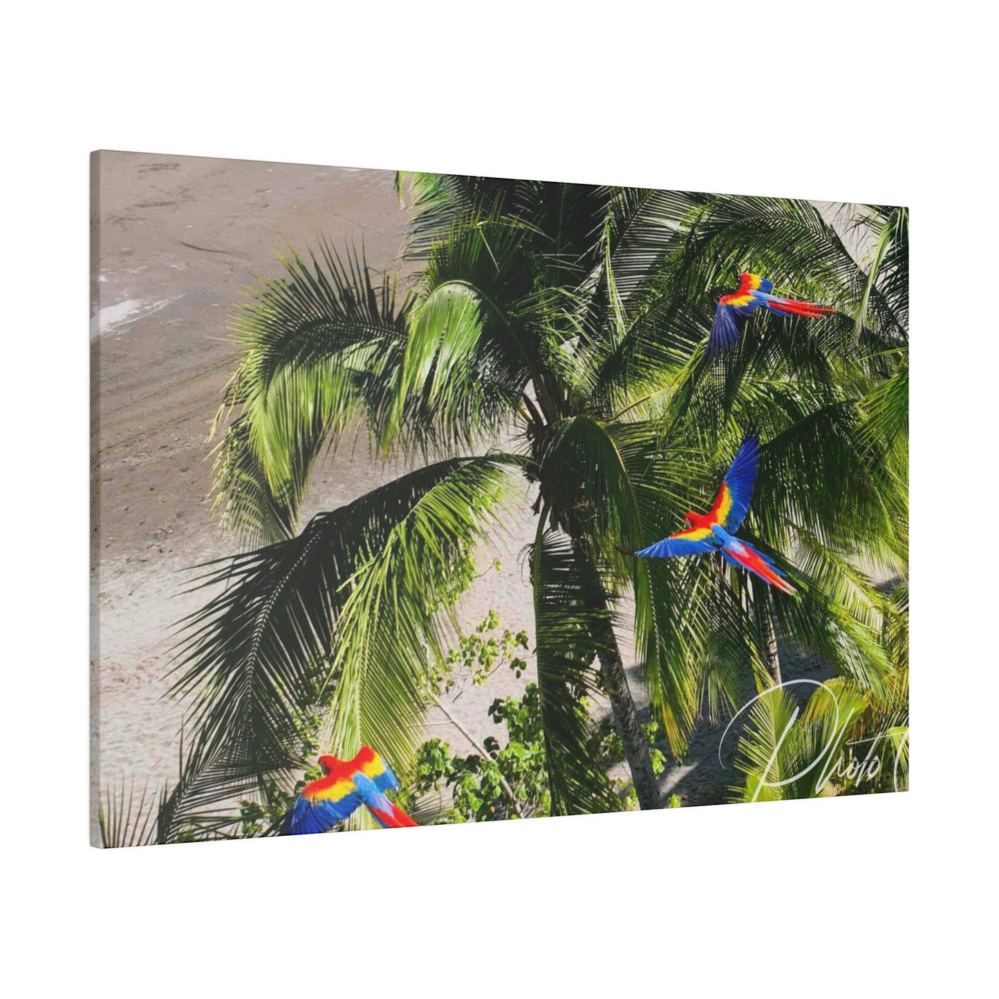 "Costa Rica: Eden's Embrace - A Tropical Tapestry"- Canvas