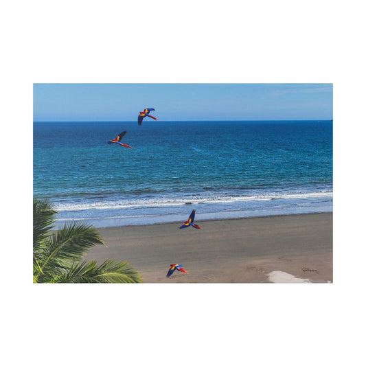 "Tropical Swoop: Lively Lapas & Majestic Macaws in Flight"- Canvas