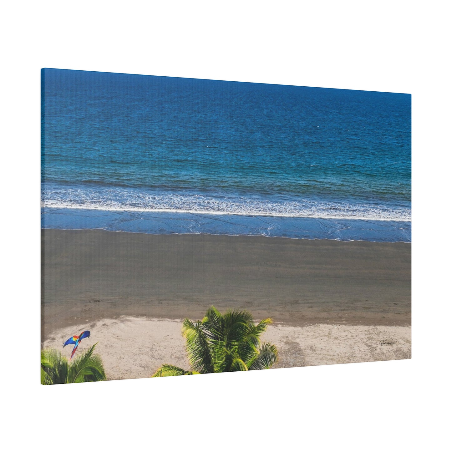 "Tropical Paradise: Spirited Lapas & Majestic Macaws in Flight"- Canvas