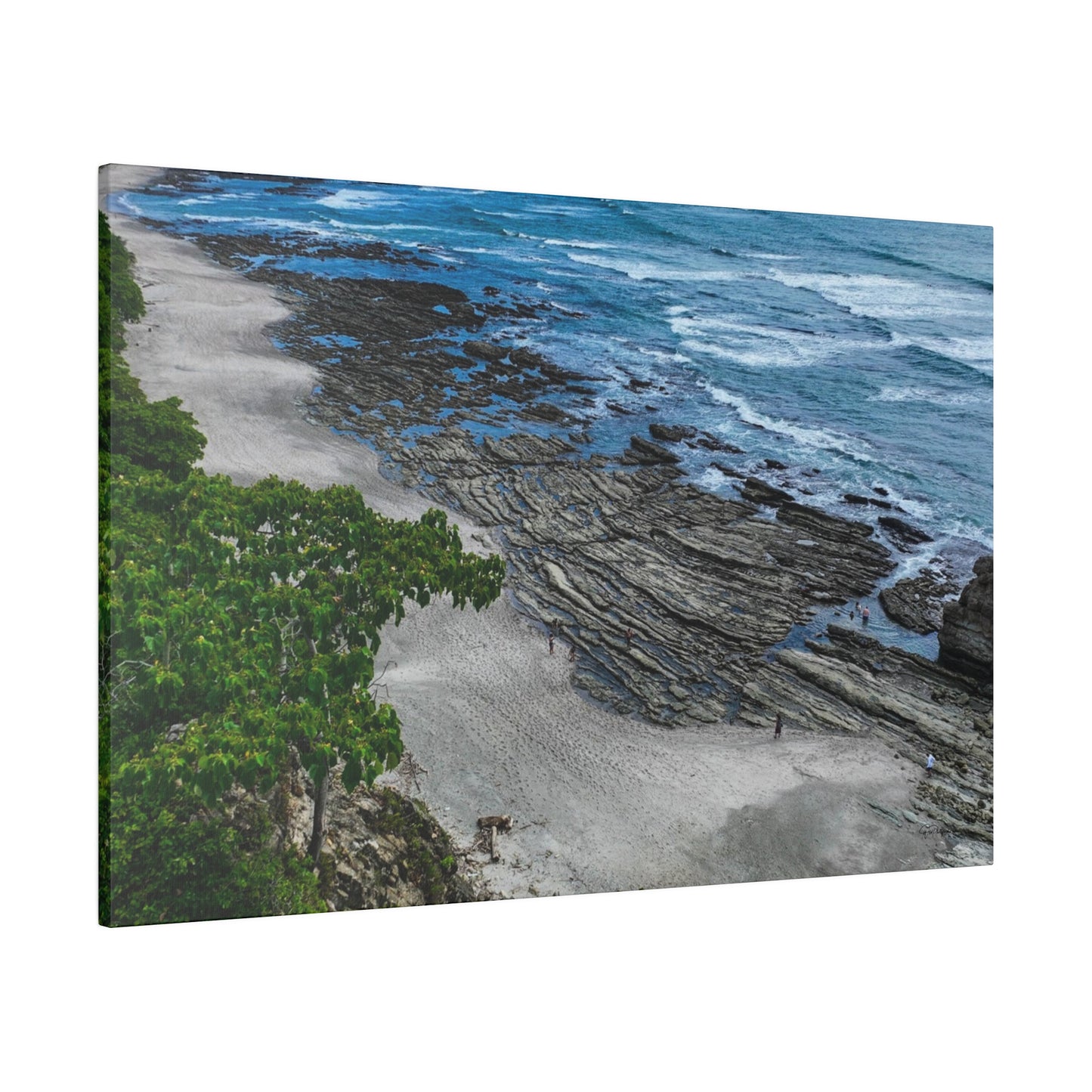 "Paradise Unveiled: The Lush Tropical Splendor of Costa Rica"- Canvas