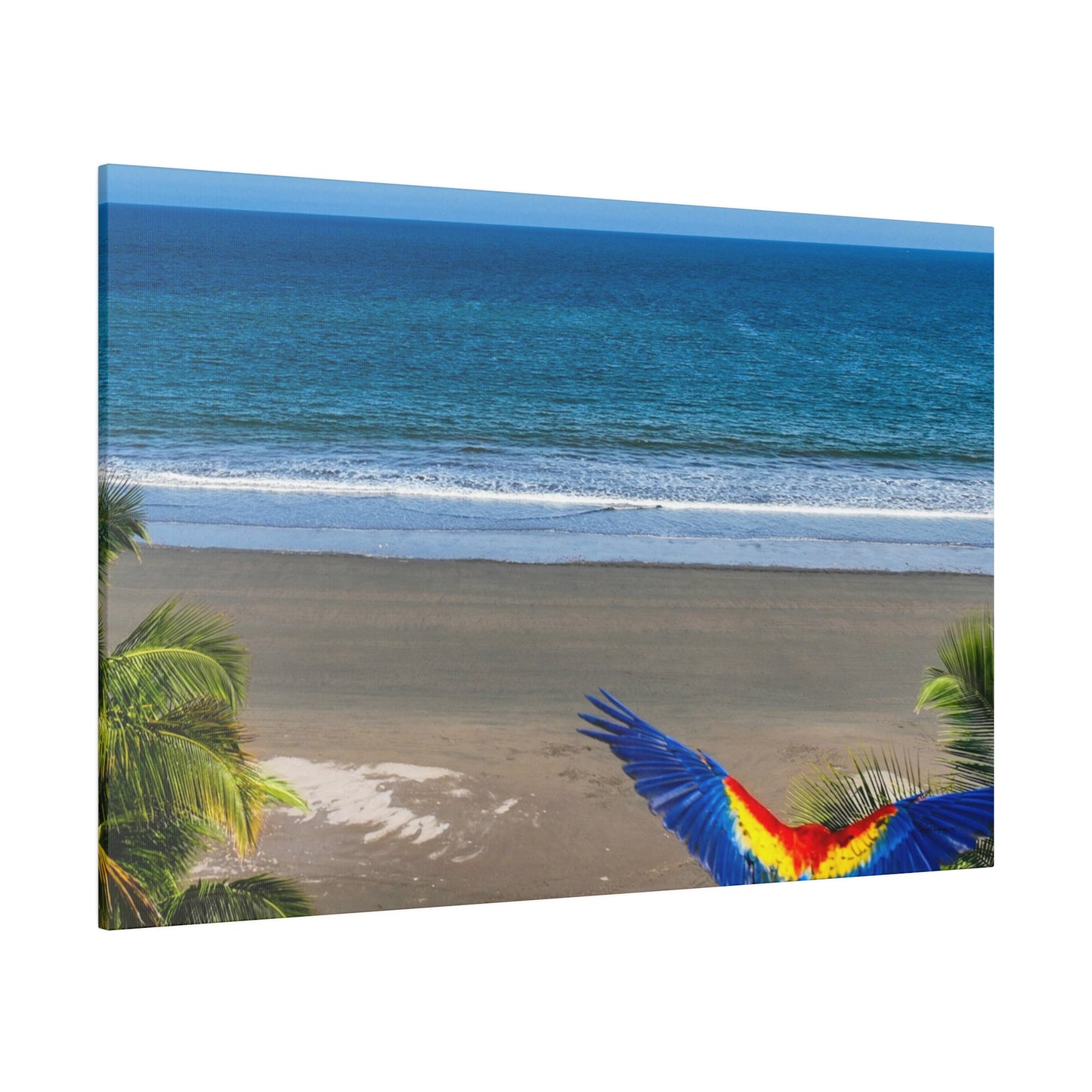 "Paradise Flight: Macaws and Lapas in the Tropical Sky"- Canvas