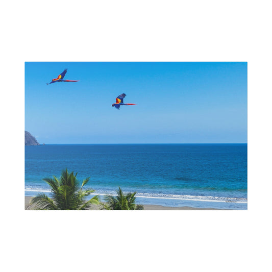 "Tropical Echo: Macaws in Flight - A Lush Symphony of Lapas"- Canvas