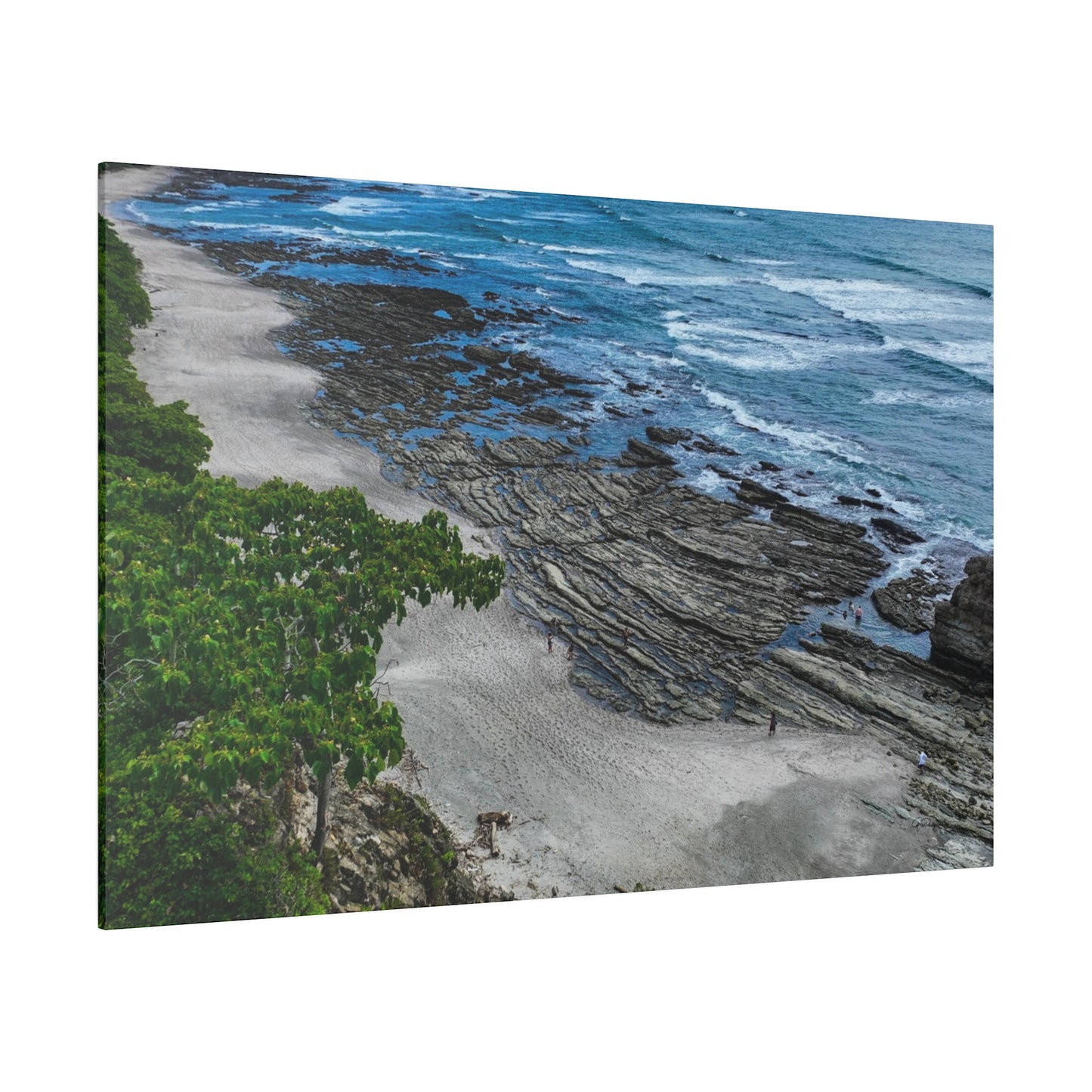 "Paradise Unveiled: The Lush Tropical Splendor of Costa Rica"- Canvas