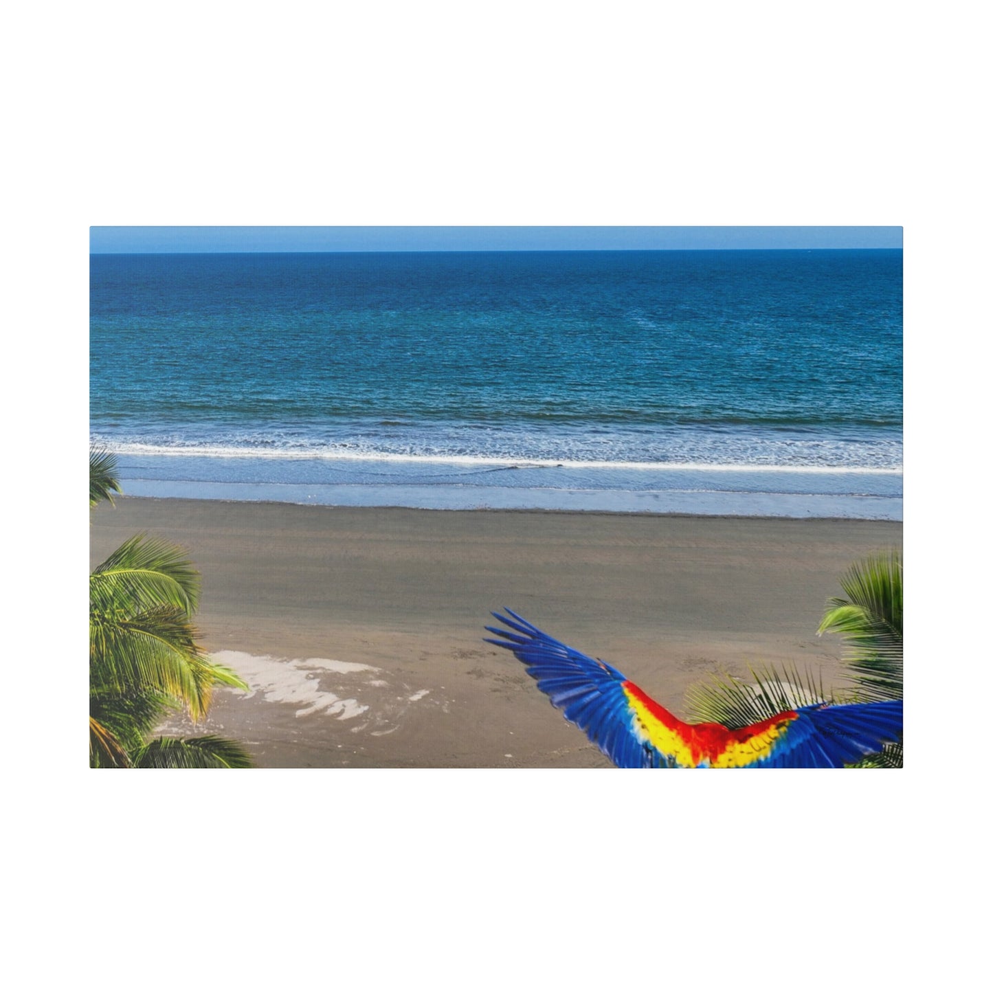 "Paradise Flight: Macaws and Lapas in the Tropical Sky"- Canvas