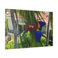 "Tropical Flights: Journey with the Majestic Lapas and Macaws"- Canvas