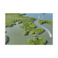 "Islands of Enchantment: Discover Las Mangrove and the Golfo de Nicoya"- Canvas