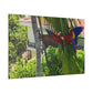 "Paradise Ascending: Marvellous Lapas Macaws in Tropical Flight"- Canvas