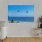 "Majestic Macaws: A Tropical Tapestry of Lapas in Flight"- Canvas