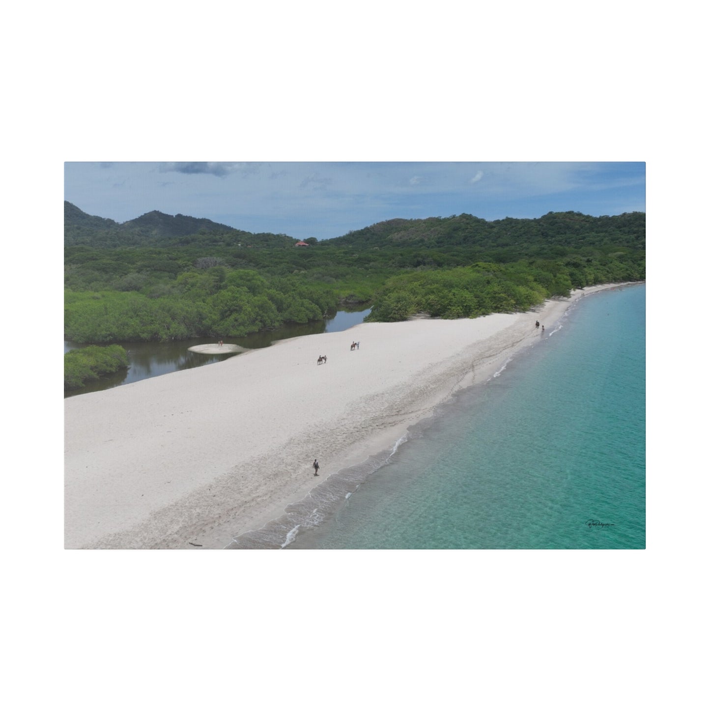 "Emerald Canopy: Costa Rica's Tropical Paradise Unveiled"- Canvas